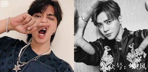 郑爽和罗志祥最新爆料,娱乐圈风云再起，真相浮出水面！”